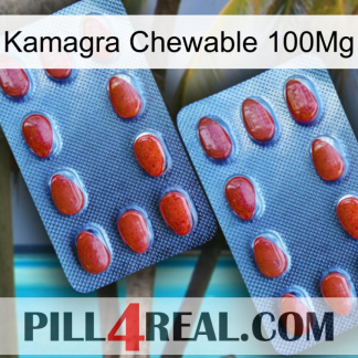 Kamagra Chewable 100Mg 05